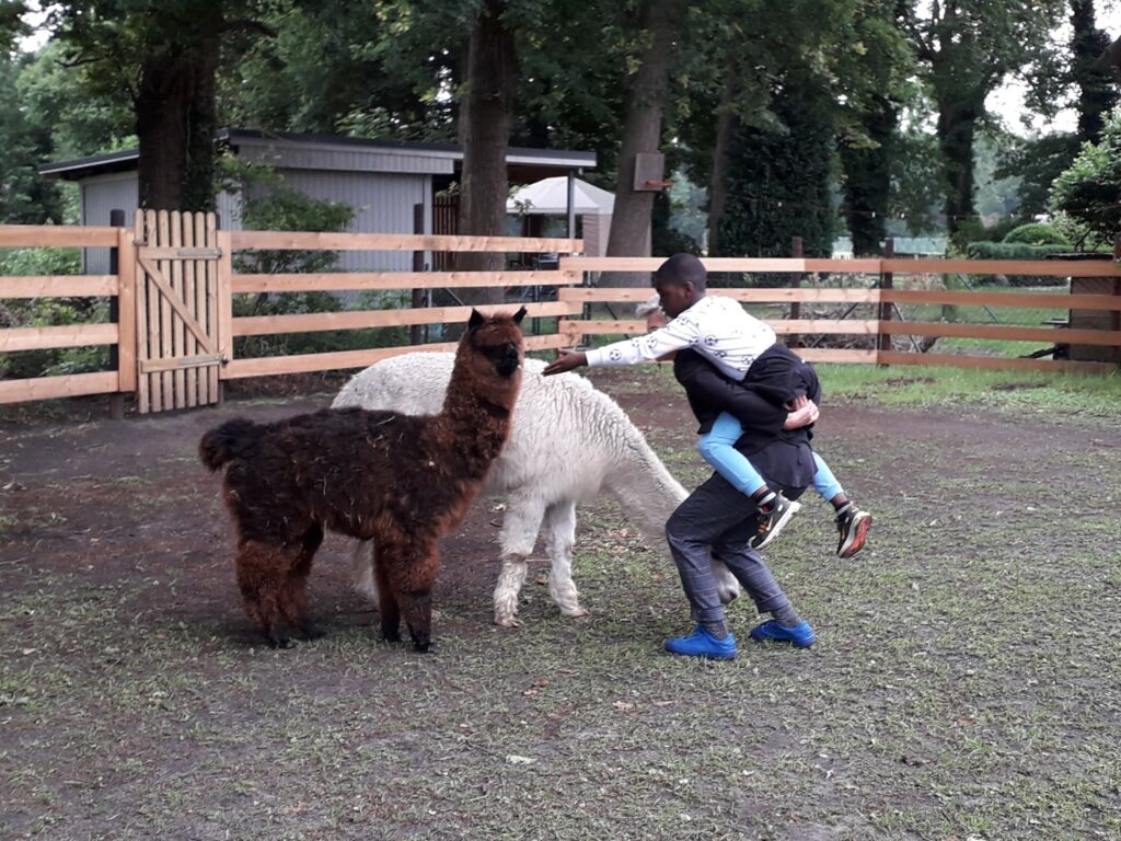 Ein Kind das von einer Therapeutin auf dem Rücken getragen wird und die einem Lama die Hand hin streckt.