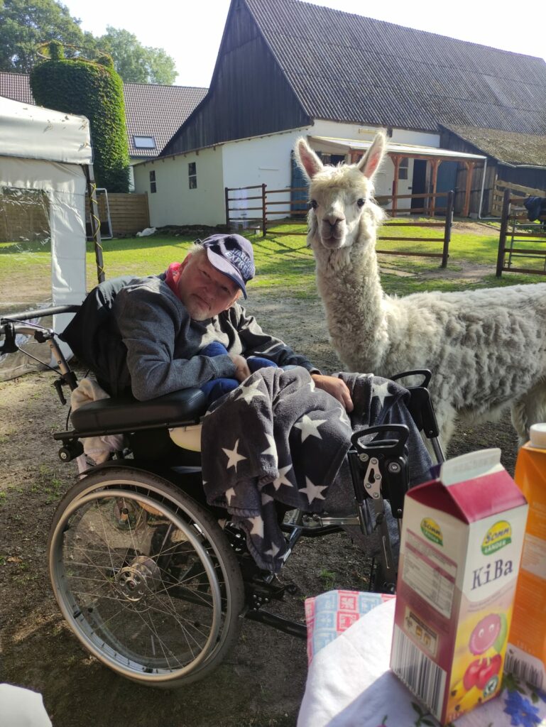 Eine Mann im Rollstuhl der Neben einem Alpaka sitzt