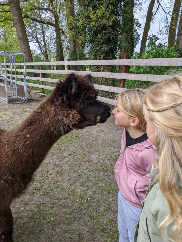 Ein Kind das Nase an Nase vor einem Lama steht